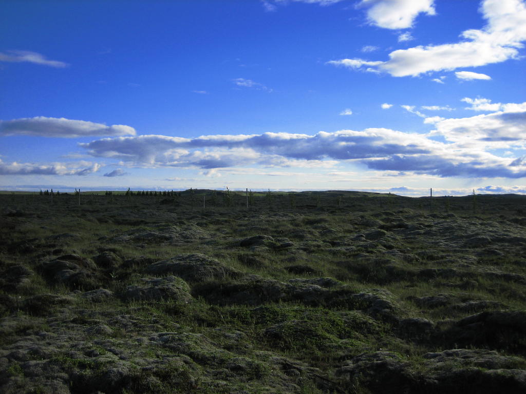 Icelandic Cottages Hraunmork Luaran gambar
